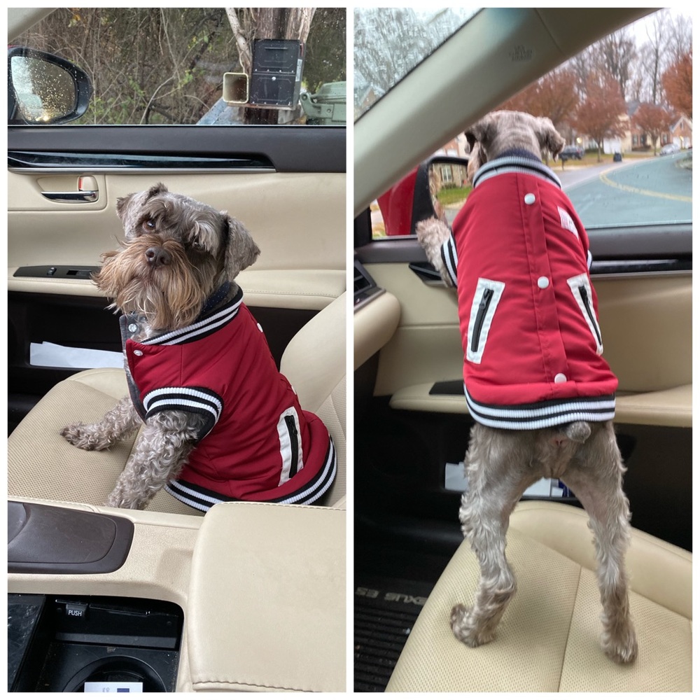 Dog Varsity Jacket - Picture 9 of 13